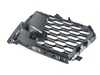 ES#4187541 - 51118069946 - GRILL, SIDE, OPEN, RIGHT - Genuine BMW - BMW