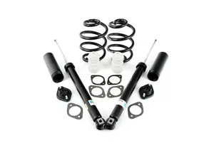 Replacement Rear Spring and shock kit 