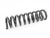 ES#3664418 - 2043246504 - HELICAL SPRING - Genuine Mercedes Benz - Mercedes Benz