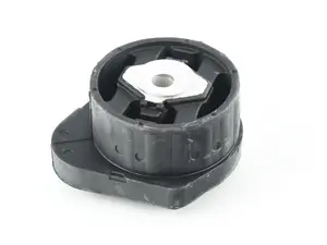 Transfer Case Mount