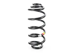 Rear Coil Spring - Priced Each