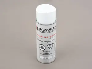 Touch Up Paint - 12 Oz Spray Can 
