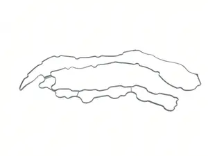PROFILE SEAL FOR CYLINDER HE