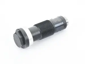 Timing Chain Tensioner