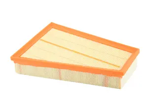 Engine Air Filter - Priced Each 