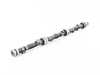 ES#2867013 - 11311287606 - Camshaft - Replace your worn camshaft and restore performance - Febi - BMW