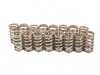 ES#4305347 - KT4025 - Ferrea Performance Valve Spring & Retainer Kit - Rev higher and increase your RPMs safely! - Ferrea - Audi Volkswagen