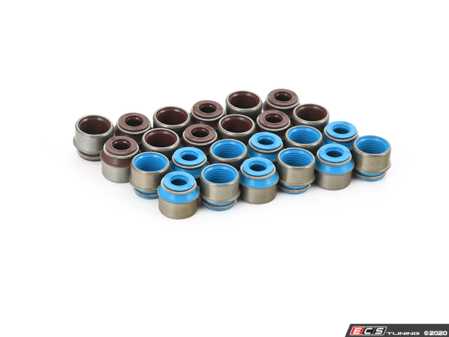 ES#4346287 - vs-vbm6-6cylKT - Upgraded Valve Stem Seal Kit - Includes all the valve stems needed for repairing, replacing, or upgrading your BMW's valves and stem seals! - Supertech - BMW