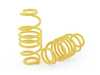 ES#2807477 - 1321000b - ST X Performance Coilover System - Fixed Damping - Set your vehicle low and tight for optimal performance. - Suspension Techniques - Audi