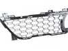 ES#4187529 - 51118069888 - GRILL, CENTER, FOR ACC, LOWE - Genuine BMW - BMW