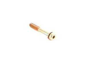 ES#176628 - 64116910423 - SCREW - Genuine BMW - BMW