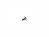 ES#166900 - 61312755698 - SCREW - Genuine MINI - MINI