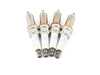 ES#3651372 - 121200396642KT - Spark Plug - Set Of 4 - Keep your motor running smoothly with a set of new spark plugs - NGK - BMW