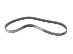 Accessory Belt 