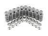 ES#3691275 - ST-SPRK-A2416-5 - Supertech Valve Spring & Retainer Set For 2.5L - Rev higher and drive faster with confidence. Supertech's 2.5L 5 Cylinder valve spring & retainer kit uses high-quality steel and military certified titanium for durable performance. - Supertech - 
