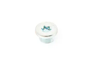 SCREW PLUG
