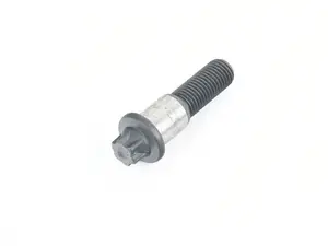 Bearing Screw