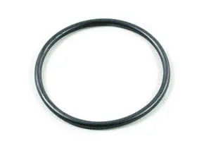 Thermostat O-Ring