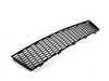 ES#1844566 - 51117898167 - Center Grille - Fits in the lower center section. - Genuine BMW - BMW