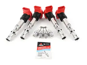 Ignition Service Kit