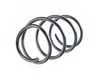 ES#4135334 - 4008469 - Front Coil Spring - Replace your cracked springs - Lesjofors - BMW