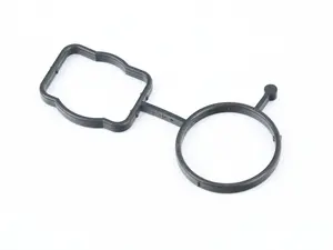 Thermostat Gasket