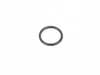 ES#1376511 - 90017405840 - O-Ring - Priced Each - Turbocharger oil return seal - Two required - Genuine Porsche - Porsche