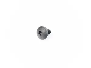 FILLISTER HEAD SCREW