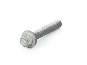 Torx Bolt with Washer