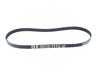 ES#4179629 - 11288650740 - Accessory Belt - Replaces your cracked or worn belt - Genuine BMW - BMW