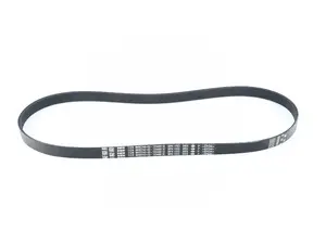 Accessory Belt