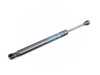 ES#4198948 - 51477950119 - GAS SPRING FOR LUGGAGE COMPA - Genuine BMW - BMW