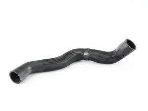 Lower Radiator Hose