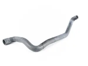 Lower Radiator Hose 