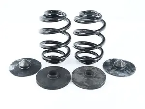 Heavy Duty Rear Coil Spring Replacement Kit