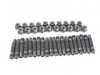 ES#3552552 - LS064545R14 - Competition Wheel Stud Conversion Kit - Steel Ball Seat Nuts - 45mm Front / 45mm Rear - Set of 20 Black Zinc coated studs and steel R14 ball seat lug nuts - Rennline - Porsche