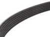 ES#280999 - 06E903137J - Accessory Belt - Replace your worn down drive belt today - Genuine Volkswagen Audi - Audi