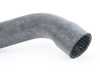ES#2867292 - 11531740481 - Radiator Hose - Lower - Runs from the radiator to the thermostat housing. - Febi - BMW