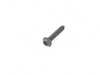 ES#3417730 - 13718677692 - SCREW - Genuine BMW - BMW