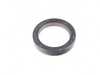 ES#4070585 - 11141439570 - Crankshaft Seal - Front - Usually replaced when servicing the timing chains - Corteco - BMW