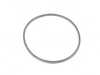 ES#3463355 - 4F0919133B - Fuel Pump Seal - Located between the union nut and the plastic ring - Hudson - Audi