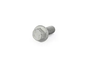 HEXAGON SCREW WITH F