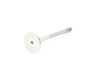 ES#4141393 - 028109611G - Exhaust Valve - Priced Each - Located inside the cylinder head - TRW - Volkswagen