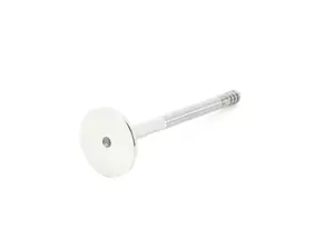 Exhaust Valve - Priced Each