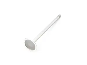 Exhaust Valve