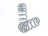 ES#4315914 - 034-404-1009 - Dynamic+ Lowering Springs - Lowers approximately 2.5" front and rear - 034Motorsport - Audi