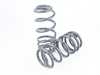 ES#4315914 - 034-404-1009 - Dynamic+ Lowering Springs - Lowers approximately 2.5" front and rear - 034Motorsport - Audi