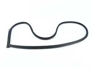 DOOR WEATHERSTRIP RI