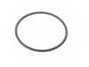ES#3582977 - 0PB115499A - Oil Filter Housing Sealing Ring - Fitted between the oil filter housing and the oil filter cap - Genuine Porsche - Porsche