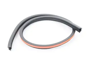 Panoramic Roof Gasket - 5 Meters